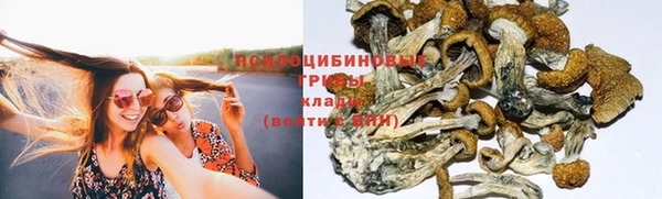 соль курить ск Козловка