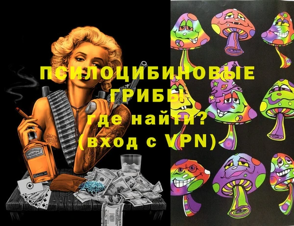 mdpv Козельск
