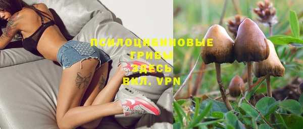 соль курить ск Козловка